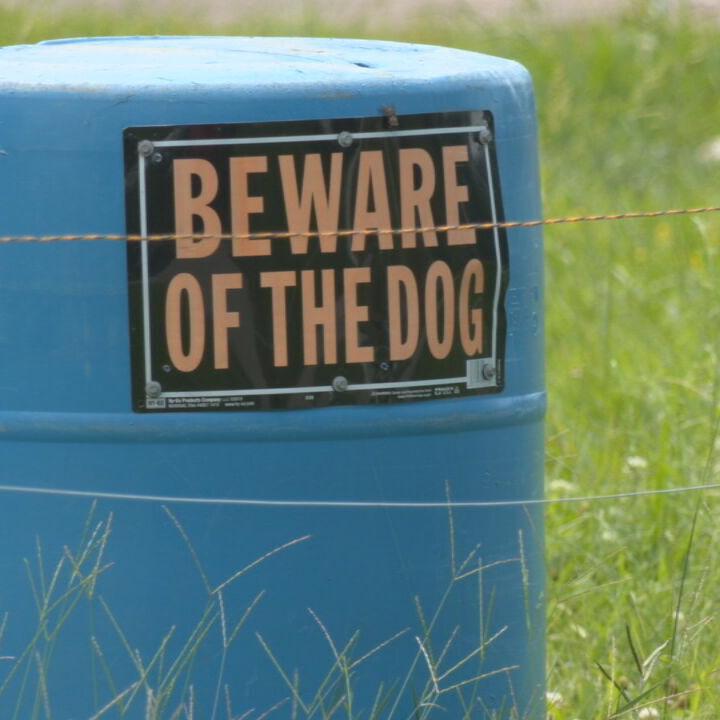 Shepherdsville animal farm remnants 7-24-24